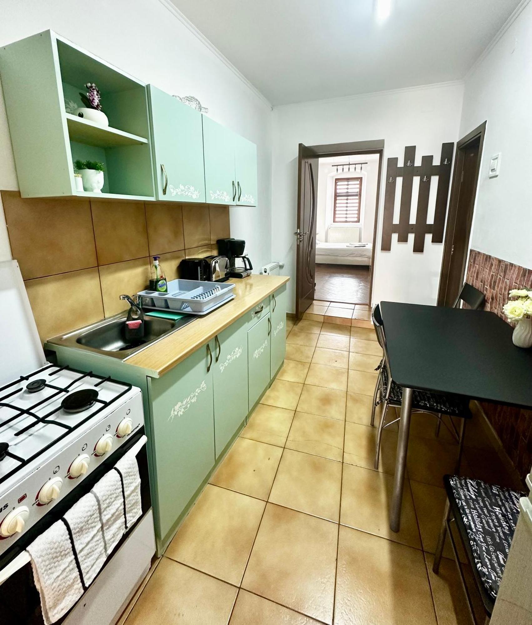 Appartamento Studio Apartament Alex Sibiu Esterno foto