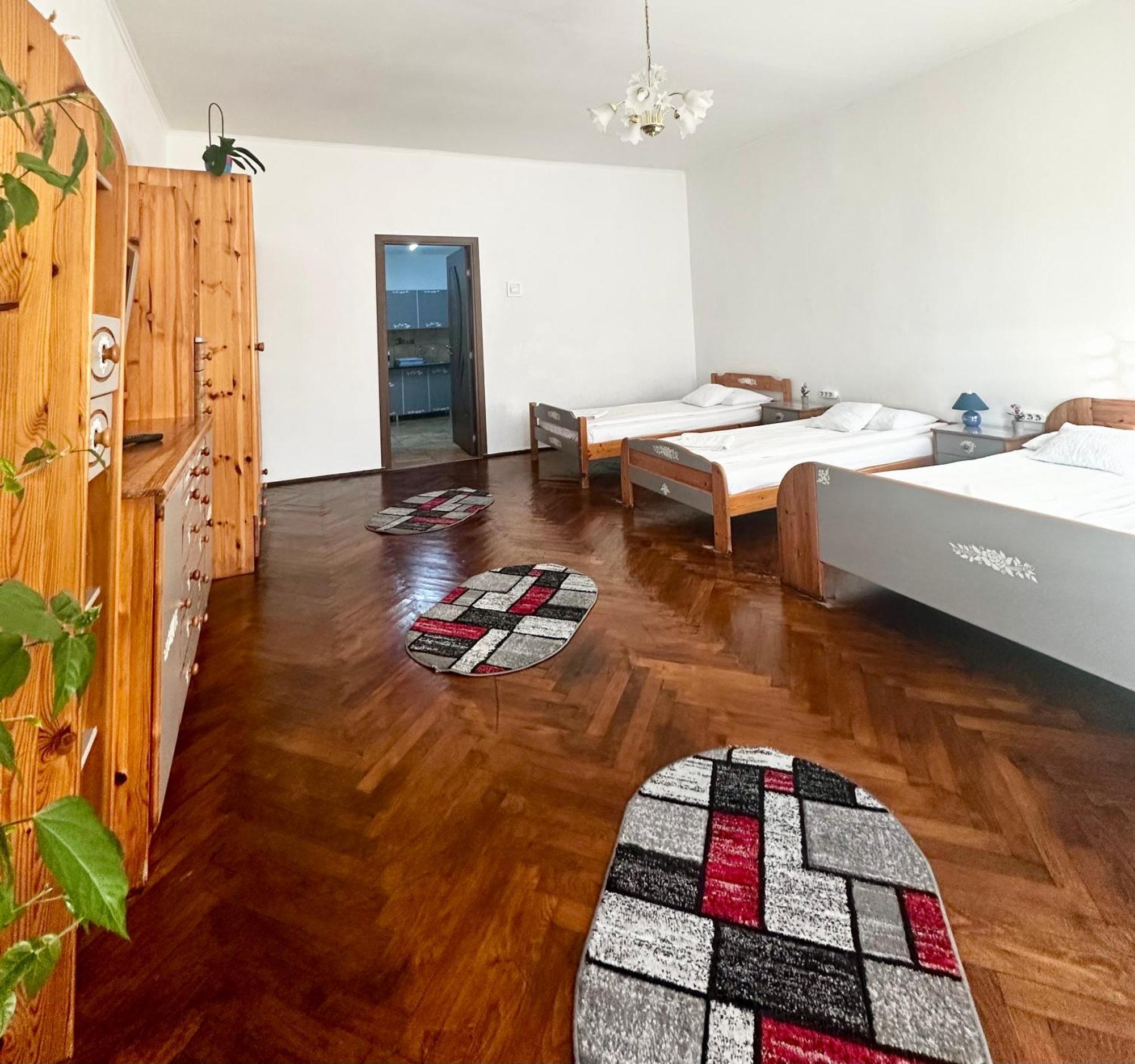 Appartamento Studio Apartament Alex Sibiu Esterno foto